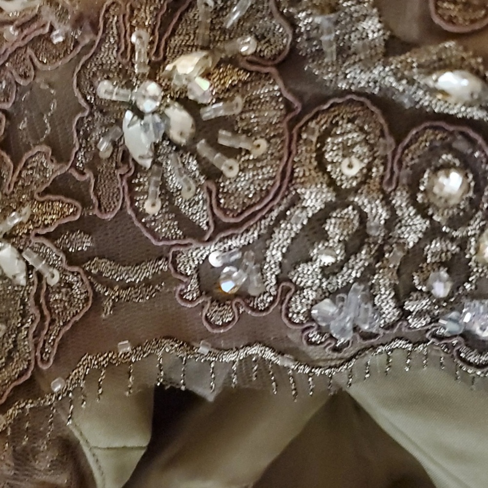 Elegant Lace Evening Gown, By Evonne D for Mon Cherie - Picture 13 of 13